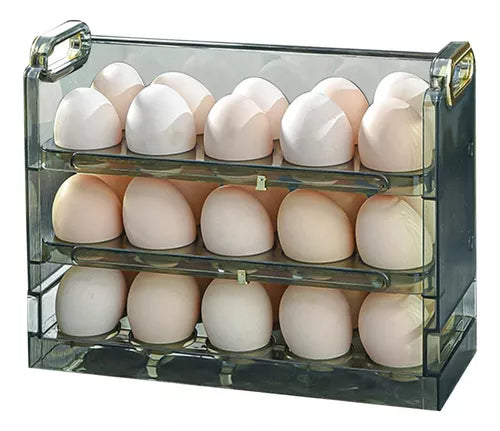 ORGANIZADOR DE HUEVOS