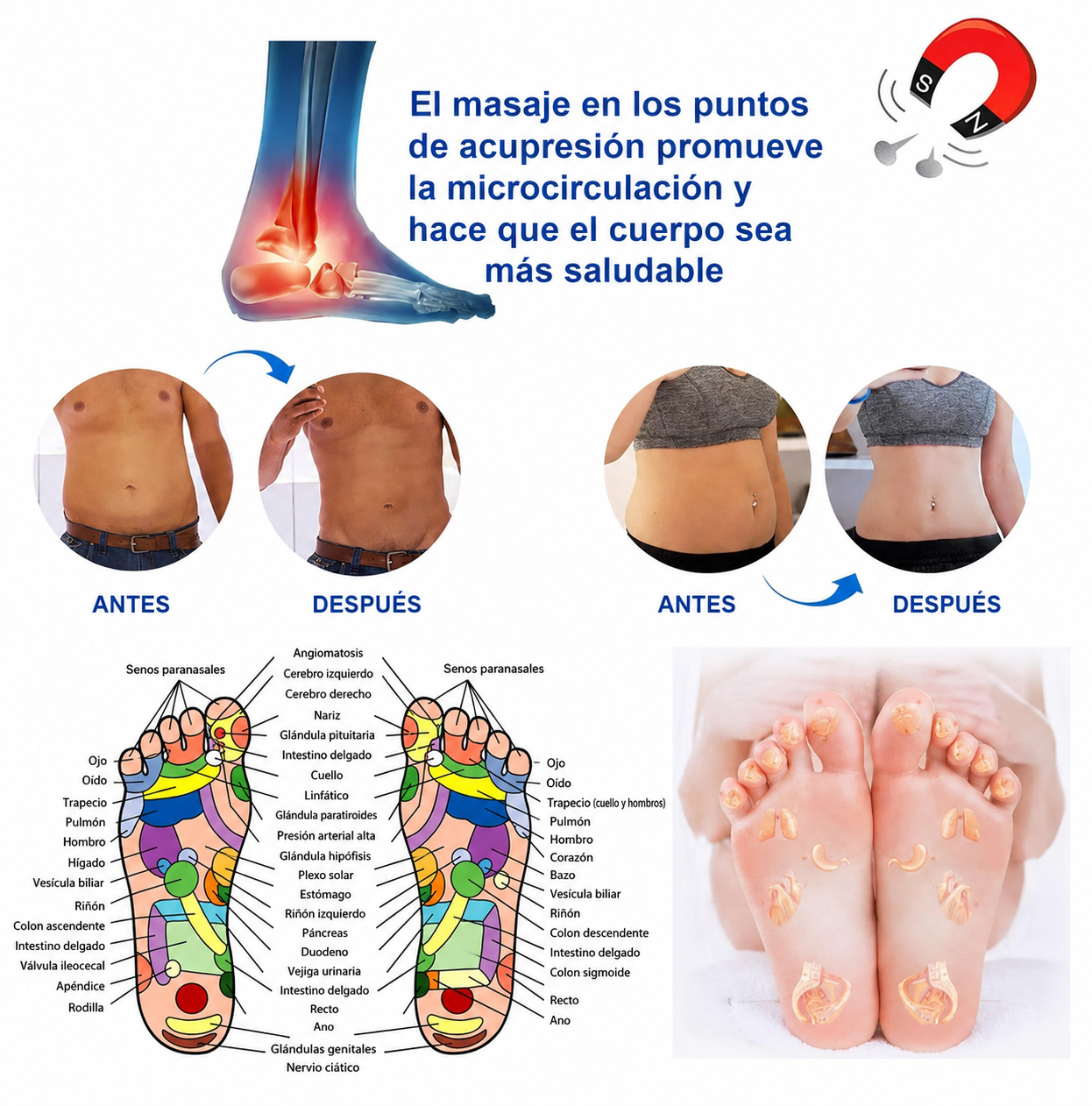 BioRelax™ | Plantillas Magnéticas Terapéuticas