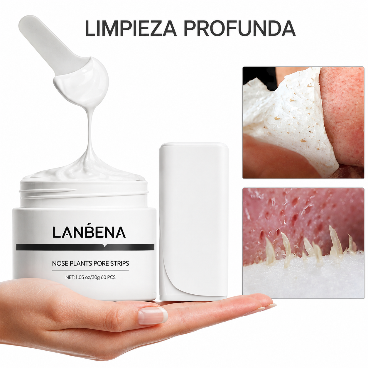 Encabezado