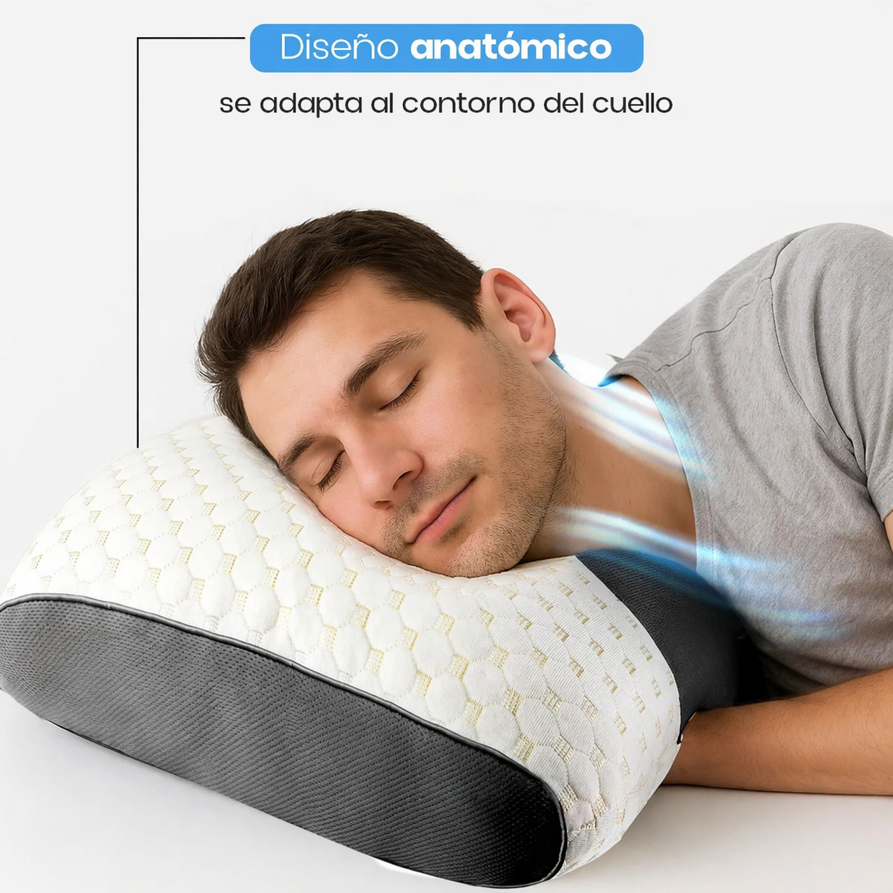 Encabezado