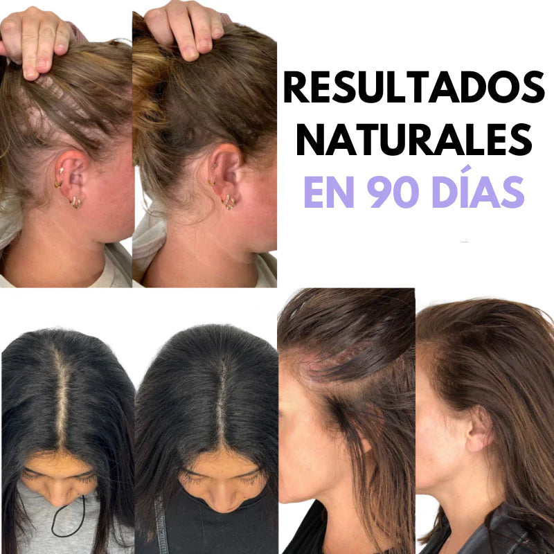 Encabezado