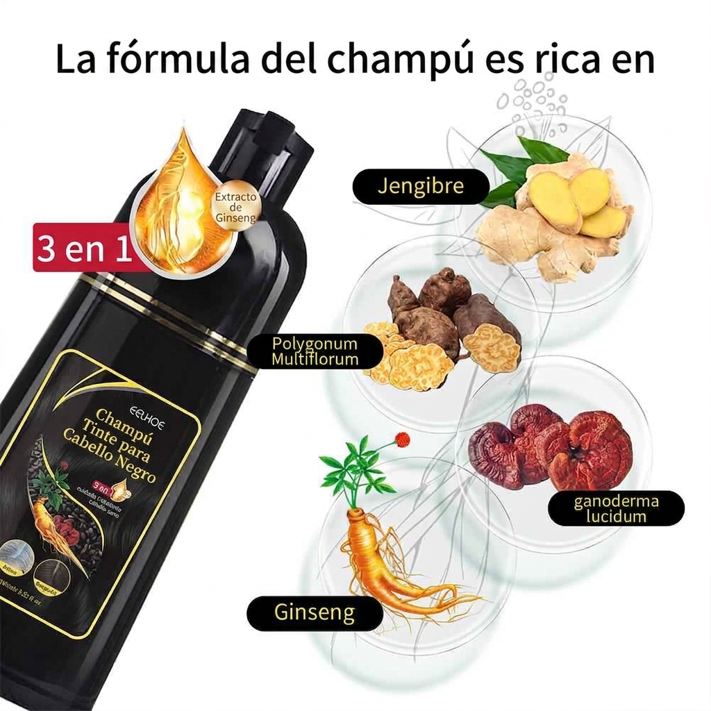 SHAMPOO TINTE 3 EN 1 DE HIERBAS NATURALES 500ML: CUBRE CANAS EN MINUTOS. IDEAL PARA HOMBRES Y MUJERE