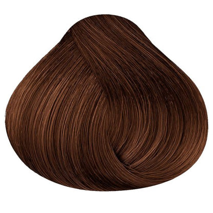 SHAMPOO TINTE 3 EN 1 DE HIERBAS NATURALES 500ML: CUBRE CANAS EN MINUTOS. IDEAL PARA HOMBRES Y MUJERE